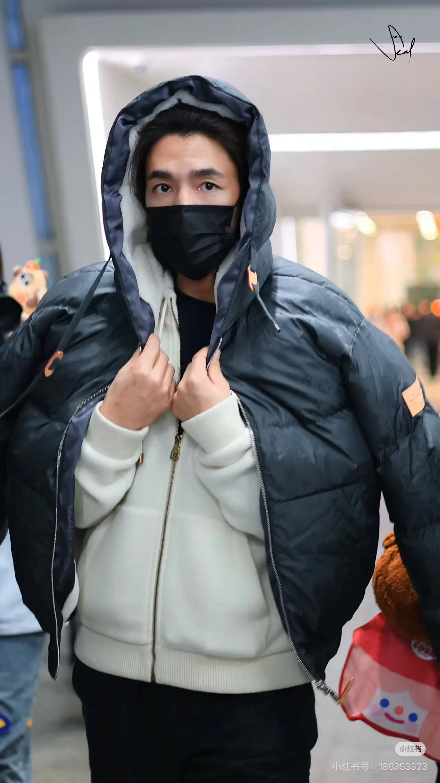 Louis Vuitton/Louis Vuitton Ski Series Full Print Jacquard Lambswool Hooded Down Cotton Jacket